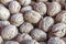 Close up shelled walnuts in bulk