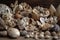 close-up of shells, driftwood and other beachcombing treasures