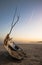 Close up of ship boat wreck on sandy beach in beautiful sunrise, basque country, france