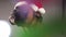 Close up shoot on Boxer dog head with Santa hat with blurred lights in front.