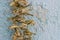 Close-up shoot of dry string beans hanged with ropes in a traditional way in Turkey