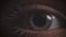 Close-up shoot of gray eye blinking with reflection of green lamp on it in complete darkness.