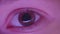 Close-up shoot of l eye watching fixedly with reflection of violet lamp in it.