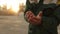 Close up shot of adult farmer man hands holding wheat grain in warm sunset light. Grain sifts through fingers