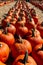 Close-up shot of an array of pumpkins in various sizes and shapes