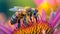 A close-up shot of a bee pollinating a vibrant wildflower during the early days of April