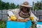 Close up shot of a beehive being opened with a metallic tool by beekeeper.