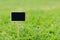 Close up shot blank wooden sign on green grass shallow depth of