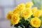 Close up shot of blooming yellow roses.