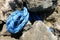 A close-up shot of blue nautical rope