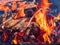 Close up shot of a camp fire in Beavers Bend State Park