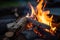 close-up shot of a campfire, burning logs visible