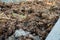 A close up shot of cattle dung organic manure in India. It is an organic fertilizer and manure containing essential nutrients for