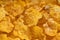 Close up shot of cornflakes