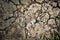 Close-up shot of the cracked ground outdoor with small stones, grass, and sticks