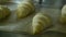 Close up shot on the croissants inside the oven