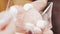 Close-up shot of delicious rose wine ice cream with marshmallow pieces in a transparent bowl in the hands of a young woman
