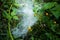 A close up shot of dense spider web spreading on grass in the forest