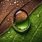 A close-up shot of a droplet of water on a leaf, showcasing the surface tension and reflections2