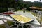 Close up shot of drying the Hibiscus sabdariffa and Osmanthus fragrans in a plate