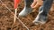 Close up shot farmer planting corn on dry country ground in tropical place by old method