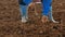 Close up shot farmer planting corn on dry country ground in tropical place by old method