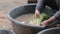 Close up shot a female farmer is harvesting the fresh and natural morning glory vegetable, for clean food organic and homemade