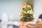 Close up shot of female hands holding a small Christmas tree Celebrate Christmas on December 25 every year. enjoying Christmas