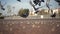 Close-up shot of a flock of pigeons feeding in the park