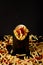 close-up shot of french fries in black box surrounded with messy fries on tabletop isolated on black