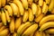 Close up shot of group of bananas