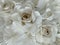 close up shot of a handmade big white paper rose’s bouquet