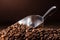 close-up shot of heap of roasted coffee beans with scoop on dark