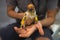 Close up shot of human hand holding beautiful green parrot chicks