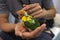 Close up shot of human hand holding beautiful green parrot chicks