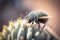 A close-up shot of an insect on a cactus, showcasing the details of nature. Generated by AI