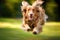 A close - up shot of a joyful, dog running through the park. Generative AI