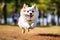 A close - up shot of a joyful, dog running through the park. Generative AI