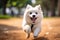 A close - up shot of a joyful, dog running through the park. Generative AI