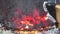 Close up shot of a large bright red fire in a barbecue bbq grill, brazier. Bright bonfire with vibrant lights, ash