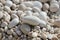 Close-up shot of large pebbles on the beach.