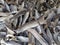 Close-up shot of a large pile of traditional dried fish, taken in Bo in Lofoten, Norway