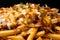 Close-up shot of loaded Poutine with a generous serving of crispy fries, cheese curds, savory gravy, and succulent pulled pork