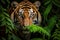 Close-up shot of a majestic tiger in its natural habitat, hidden among dense foliage in a lush jungle. Generative AI