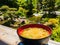 Close up shot of miso soup