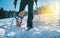 Close up shot of mountain boots with crampons and snow gaiters with backlight sunbeams and snowy spruces on the background . High