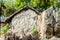 Close up shot of mud house in village with neem trees over the background