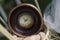 Close-up shot of old style, vintage clock with thick, wooden frame