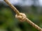 Close up shot of an old yellow color nylon coir with a knot