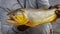 Close-up shot of a person holding a caught golden dorado fish